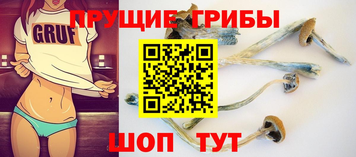 Лениногорск  Псилоцибиновые грибы мицелий  Вход с VPN 